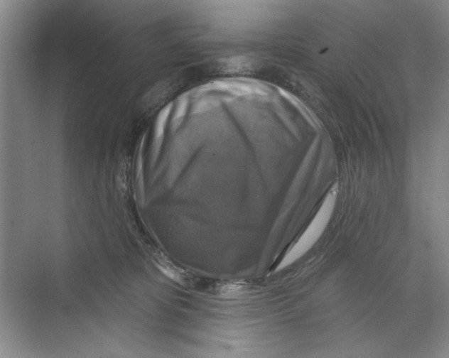 X0000068840325200606021715