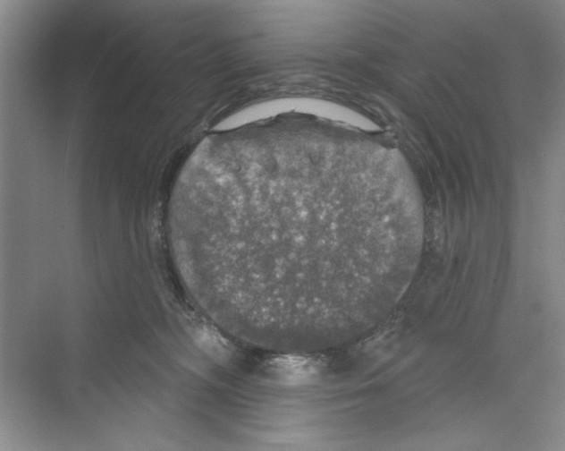 X0000068840326200606021715