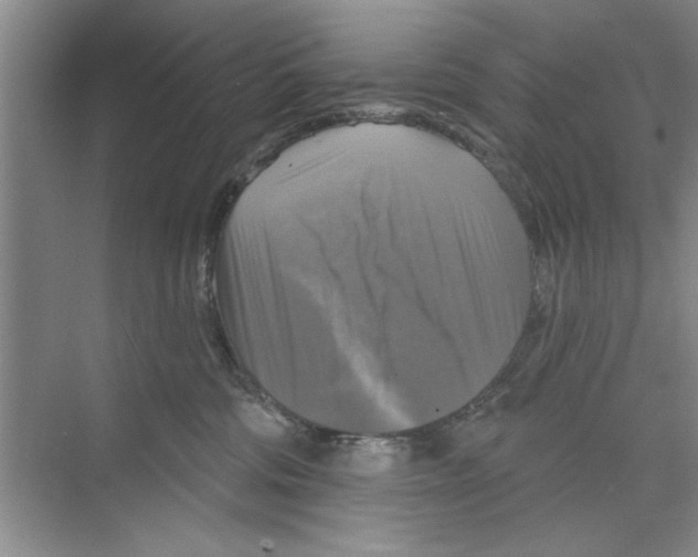 X0000068840330200606021715