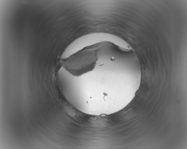 X0000068840331200606021715