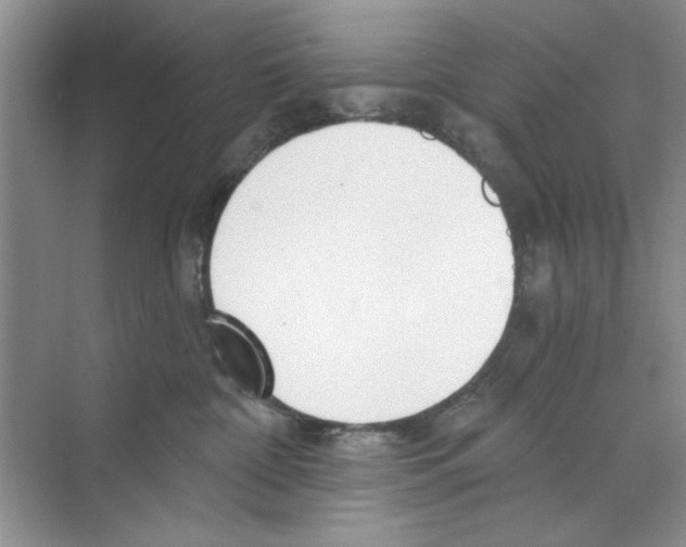 X0000068840332200606021715