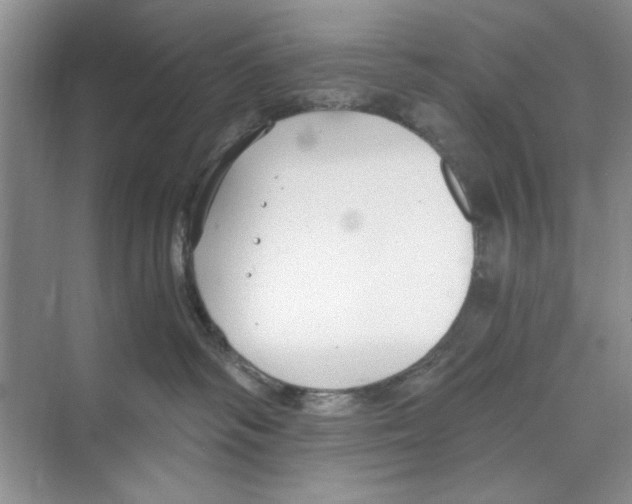 X0000068840334200606021715