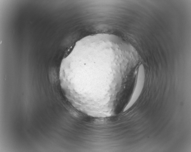 X0000068840335200606021715