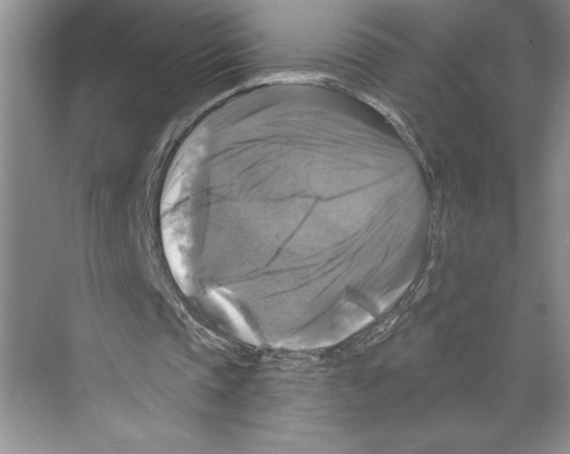 X0000068840337200606021714