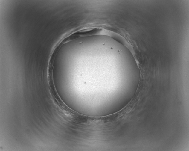 X0000068840340200606021714