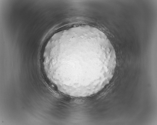 X0000068840341200606021714