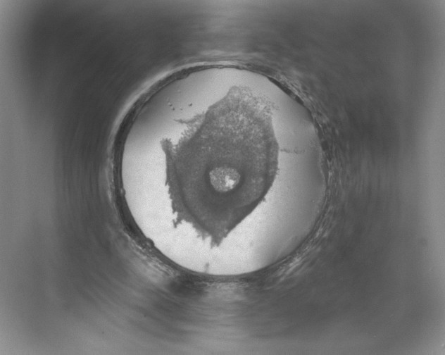 X0000068840342200606021714