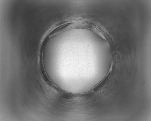 X0000068840344200606021714