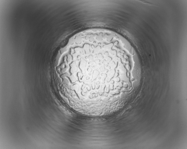 X0000068840345200606021714