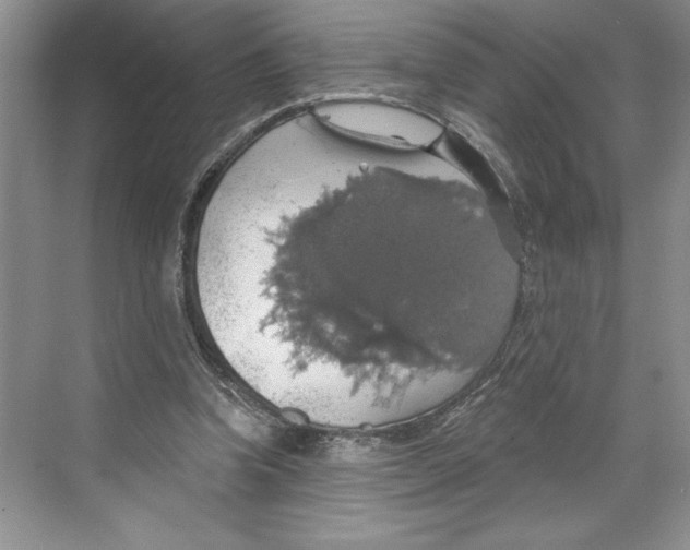 X0000068840346200606021714