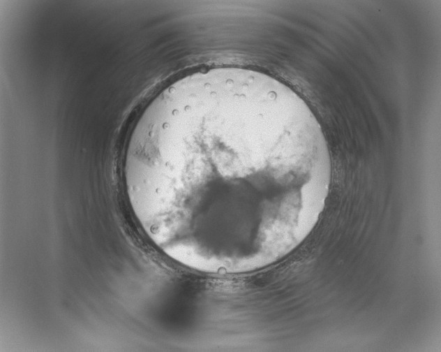 X0000068840347200606021714