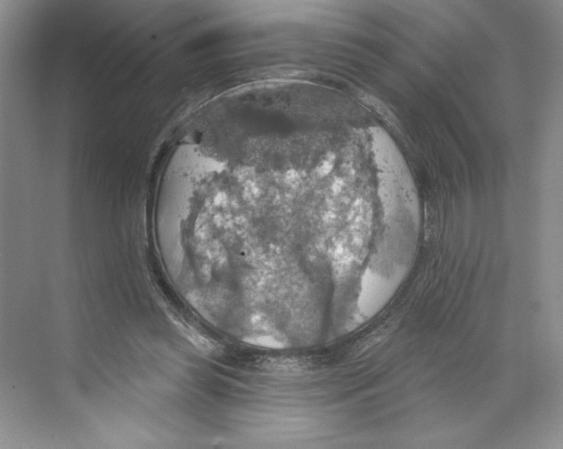 X0000068840349200606021714