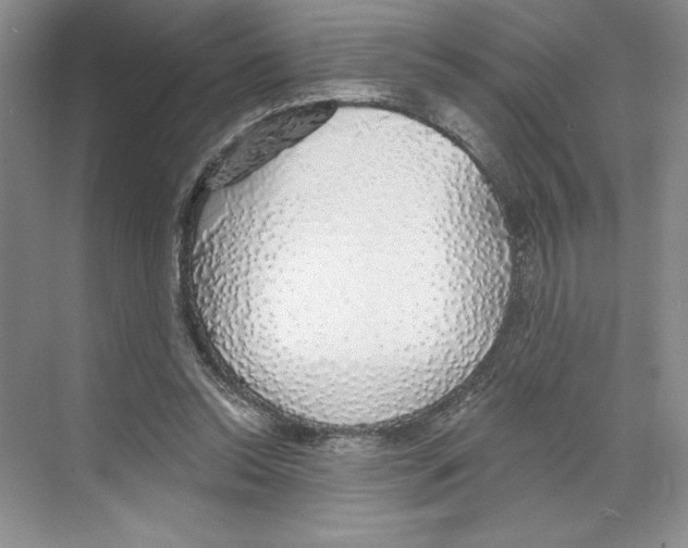 X0000068840350200606021714