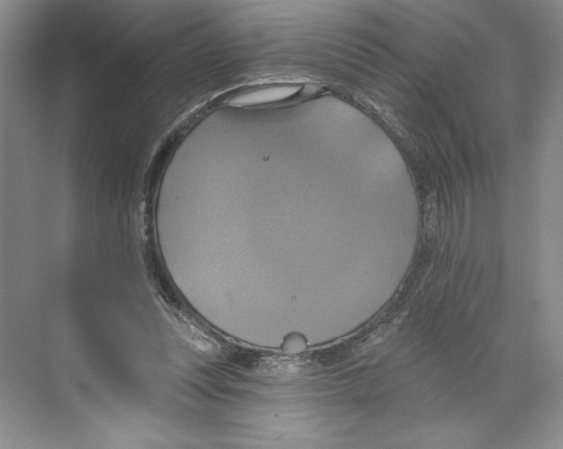 X0000068840351200606021714