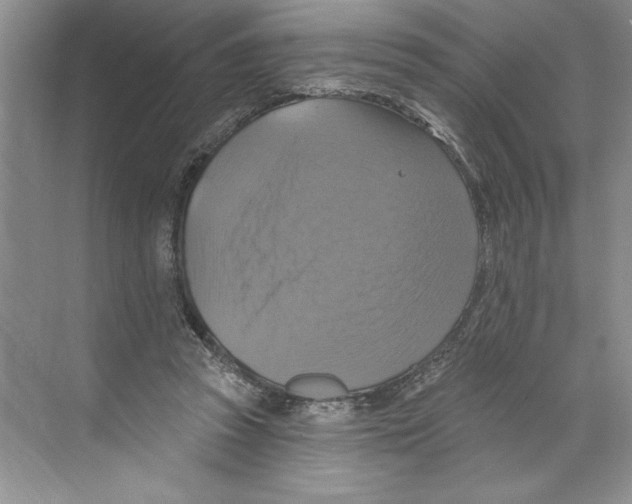 X0000068840353200606021715