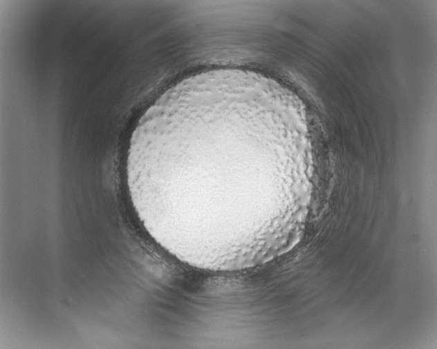 X0000068840354200606021715