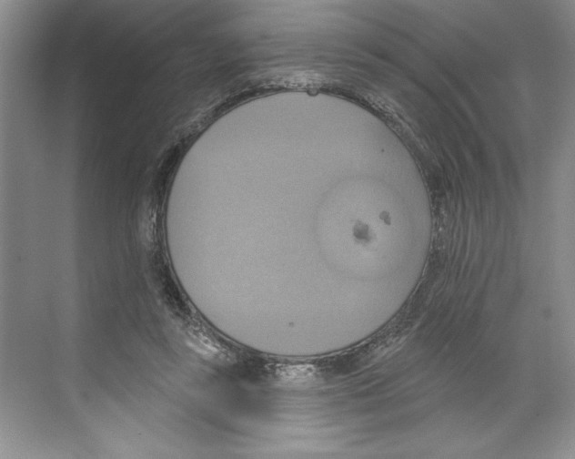 X0000068840355200606021715