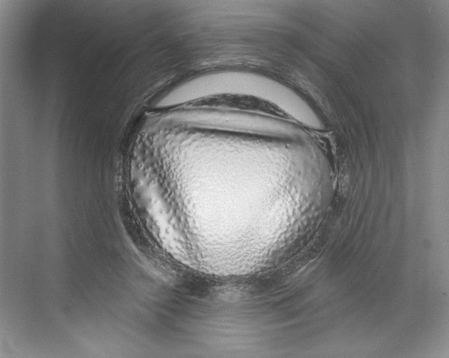 X0000068840356200606021715