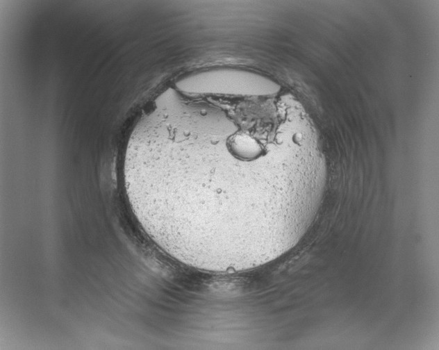 X0000068840358200606021715