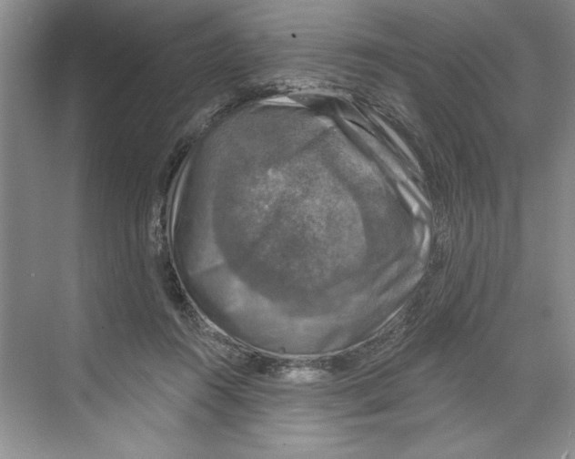 X0000068840360200606021715