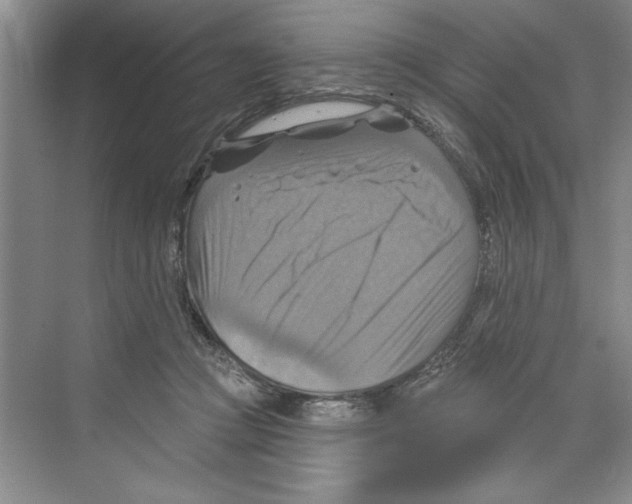 X0000068840361200606021715