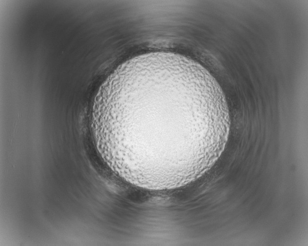 X0000068840364200606021715