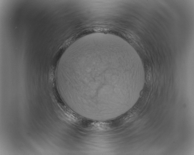 X0000068840367200606021715