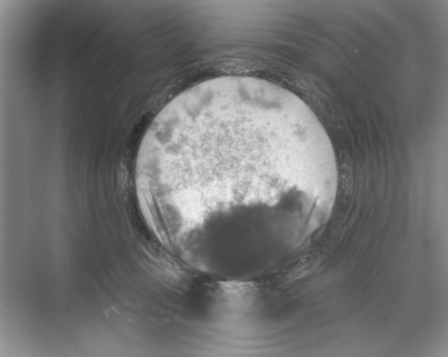 X0000068840371200606021715