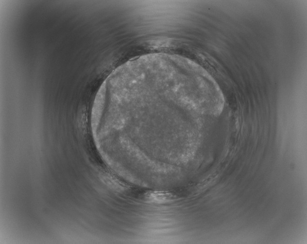 X0000068840372200606021715