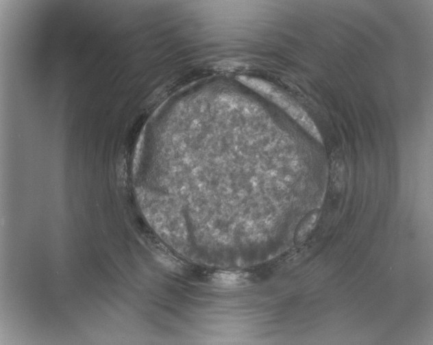 X0000068840375200606021715