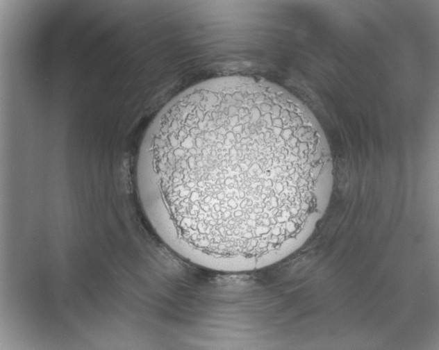 X0000068840378200606021715