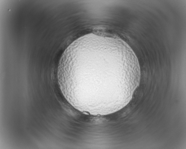 X0000068840379200606021715