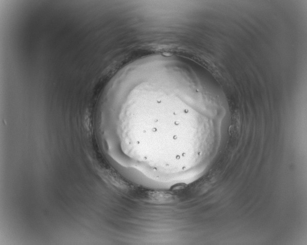 X0000068840380200606021715