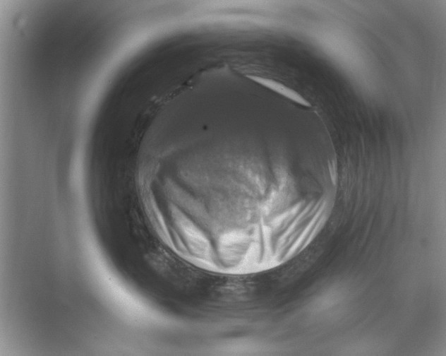 X0000068840383200606021715