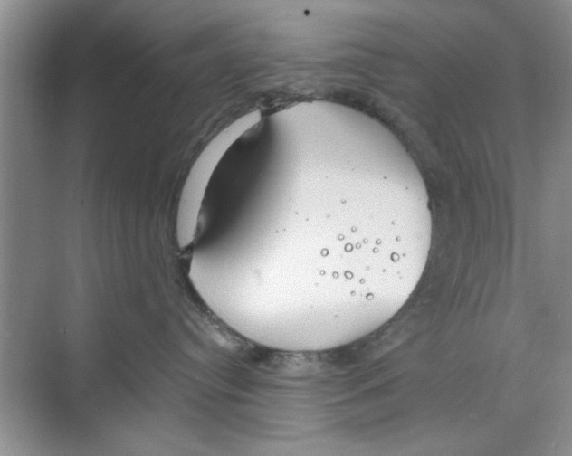 X0000068840384200606021715