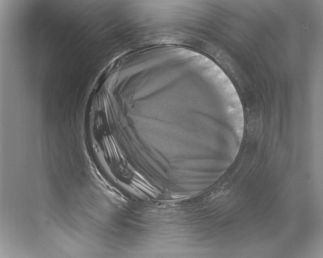 X0000068840386200606021714