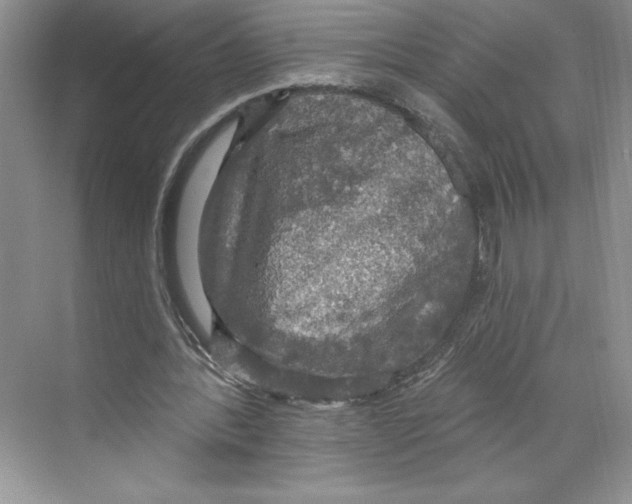 X0000068840388200606021714