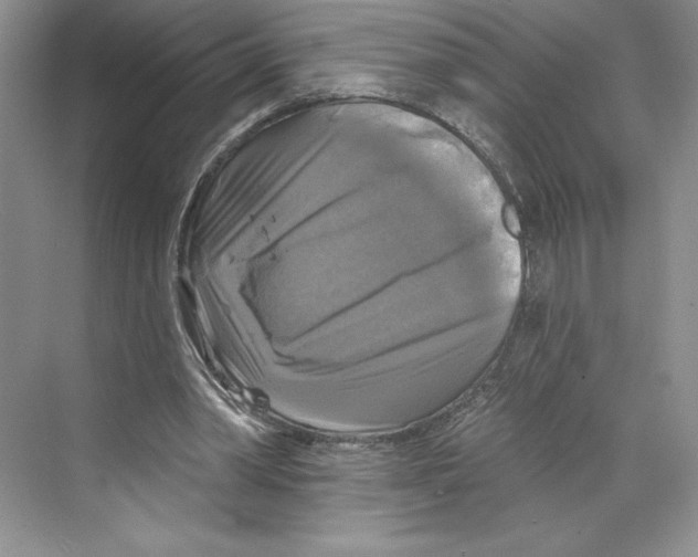 X0000068840390200606021714