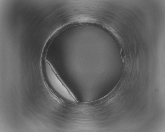 X0000068840391200606021714