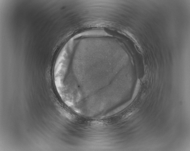 X0000068840394200606021714