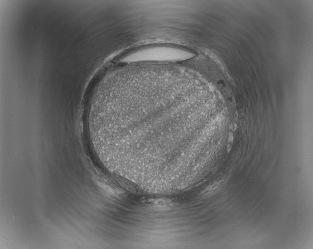 X0000068840395200606021714