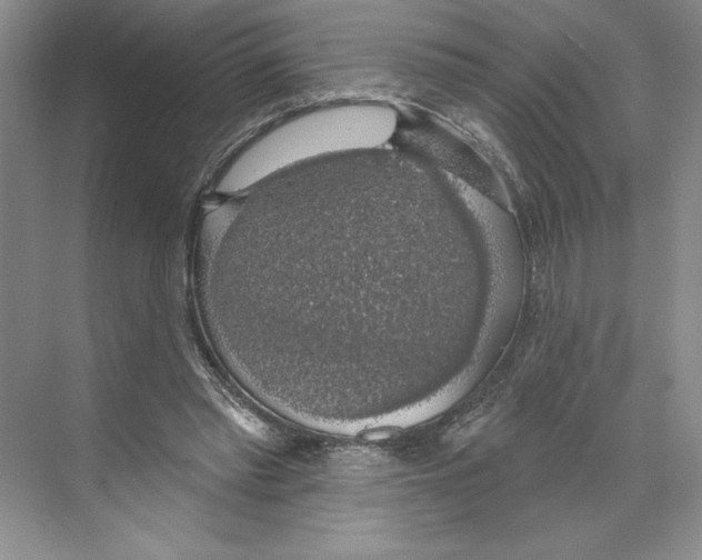 X0000068840397200606021714