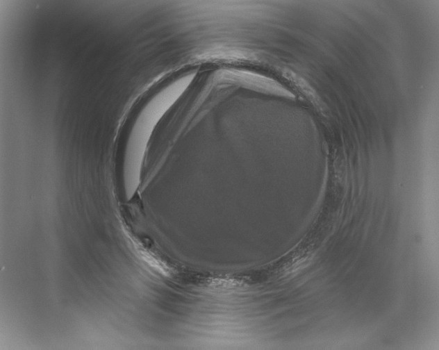 X0000068840399200606021714