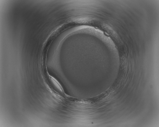 X0000068840400200606021714