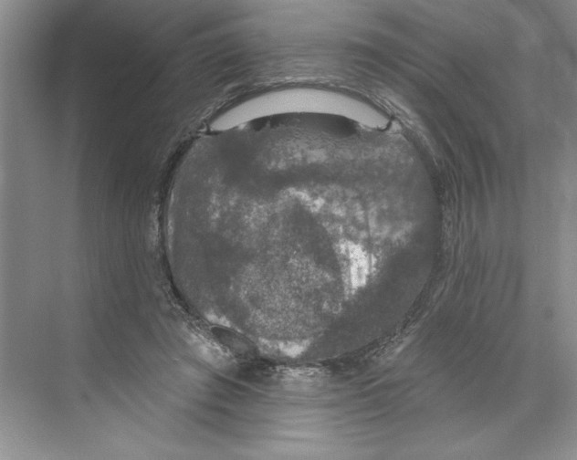 X0000068840401200606021714