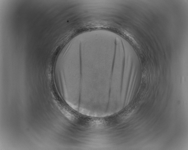 X0000068840402200606021714