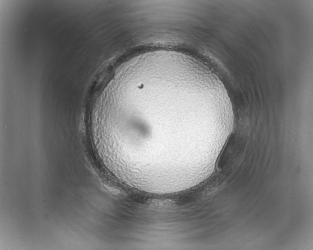 X0000068840403200606021714