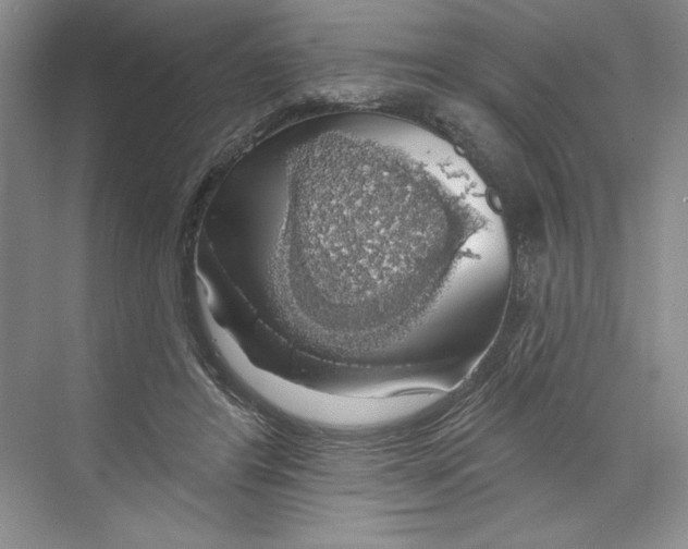 X0000068840404200606021714