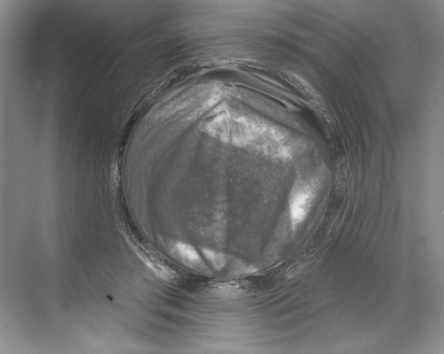 X0000068840405200606021714