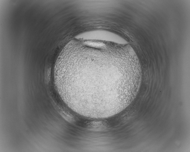 X0000068840406200606021714